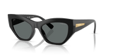 Black / Dark Grey Polarized