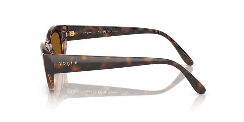 Vogue Eyewear VO5616S in Total Dark Havana / Dark Brown Polarized - Alternate View