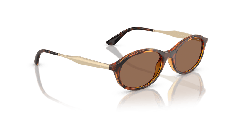 Vogue Eyewear VO5625S in Dark Havana / Dark Brown (W65673) - Back View
