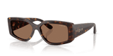 Dark Havana / Dark Brown (W65673)