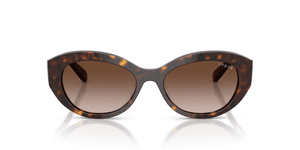 Dark Havana / Gradient Brown (W65613)
