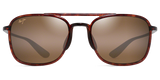 Tortoise / HCL® Bronze (H447-10)
